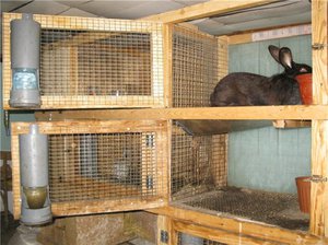 Крмушка для кроликов своими руками