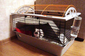 Клетка с барабаном для домашних декоративных кроликов