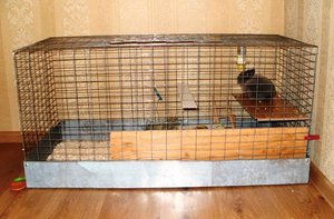 Самодельная клетка для кролика - простые решения