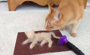 Расческа-триммер