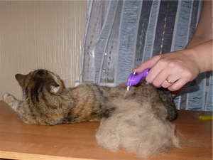 Фурминатор для кошки