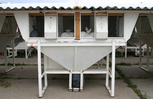 Характеристика популярных кроличьих клеток