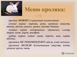 Рацион питания кроликов