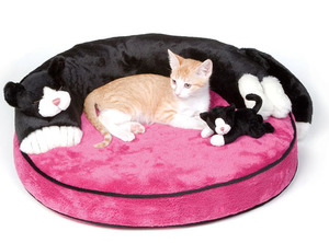 Котенок на забавной лежанке