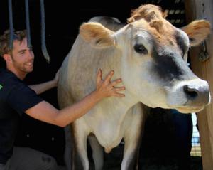 Влияние внешних условий на продолжительность жизни