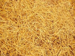 Солома для кур