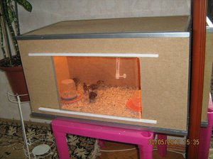 Требования к созданию брудера