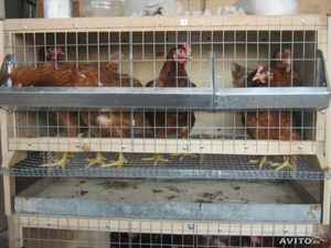 Материалы для клеток