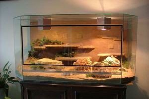 Террариум для ящериц