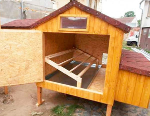 Виды мини-курятников