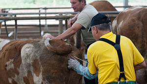 Ректоцервикальный способ