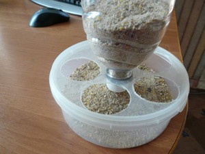 Способы изготовления кормушек для кур