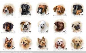 Собачьи современные клички