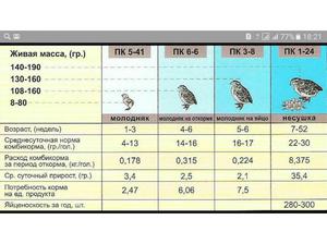 Корм для поросят