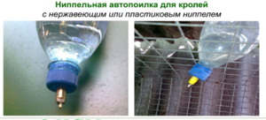 Удобные поилки для кроликов - фото