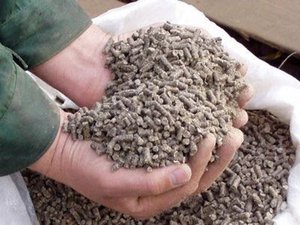 Комбикорм для кур несушек - составляем сами