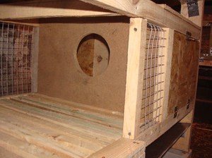 Какой должен быть маточник для кроликов