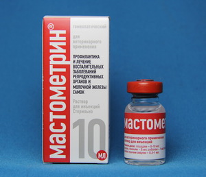 Собаки и щенки