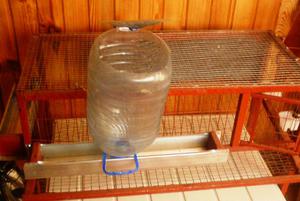 Виды поилок для перепелов