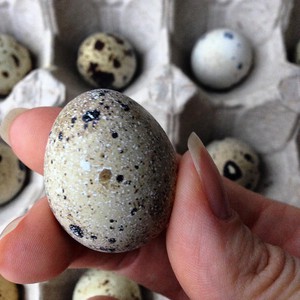 Польза перепелиных яиц для здоровья: что скрывает суперфуд?