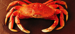 Лапки у крабов