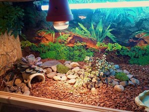 Террариум с лампой