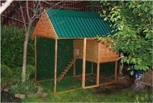 Курятник своими руками