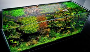 Оборудование аквариума