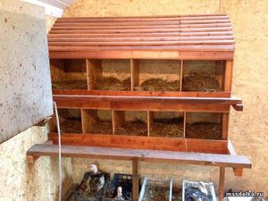 Гнезда для кур своими руками