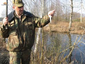 Когда у уклейки нарест