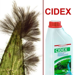  Как избавиться от аквариумных  водорослей 