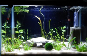 Какие есть виды фильтров