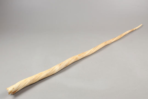 Рог нарвала - считался чудодейственым, из-за охоты на него нарвал занесен в Красную книгу