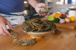 Польза мяса рака