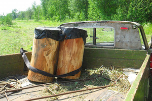 Как сделать ловушку для пчёл своими руками: простая инструкция