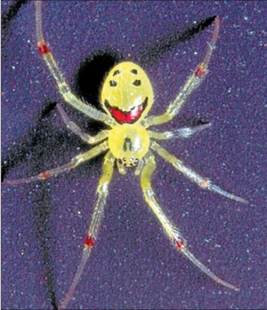 Улыбающийся Паук