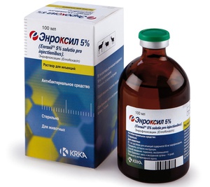 Энроксил для собак и кошек: инструкция по применению в ветеринарии