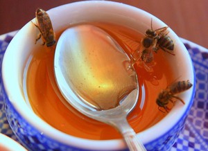 Пчелы и мед