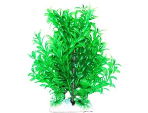 Как ухаживать за растениями