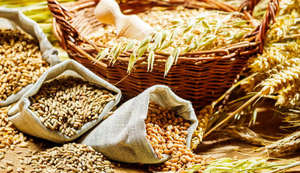 Крупы для голубей