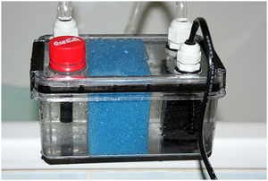 Как самим сделать фиьтр для аквариума