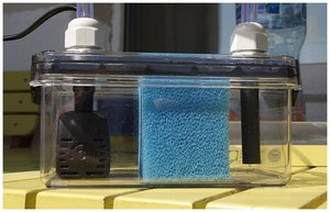 Какие существуют фильтры на аквариум