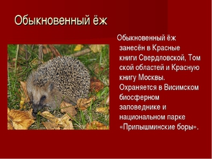 Красная книга и список  изчезающих животных