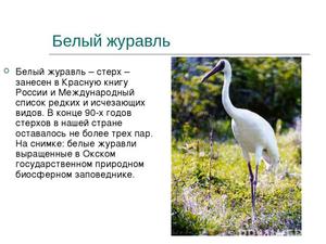 Красная книга Урала