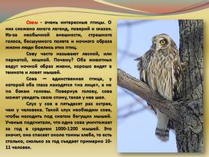 Виды совинных