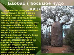 Какие растения растут в саванне