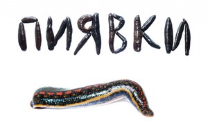 Способ действия 