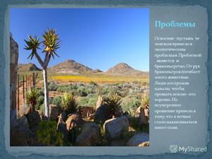   Растительный и животный мир пустыни и полупустыни