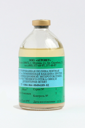 Биомицин для животных: инструкция по применению порошка в ветеринарии