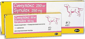 Амоксициллин в таблетках